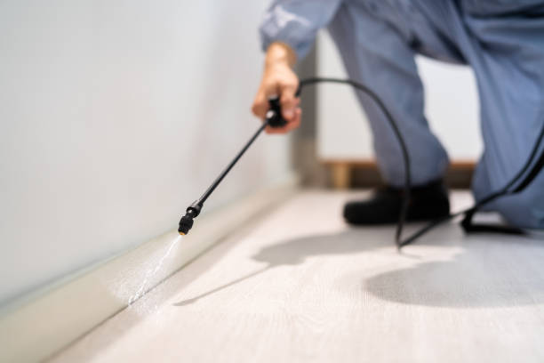 Licensed Pest Control service in Bray, OK - Show Me Pest Control